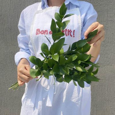 [정아네식탁] 루스커스 10줄기, 초록소재 플랜테리어 ★당일 경매 생화★